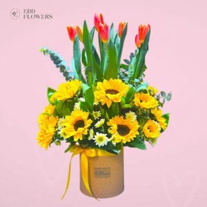 Arreglo Tulisol