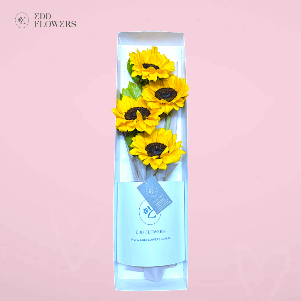 Caja Floricienta