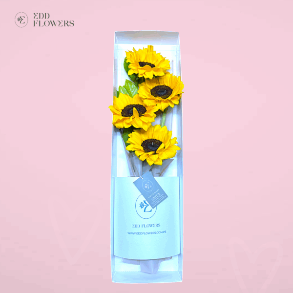 Caja Floricienta