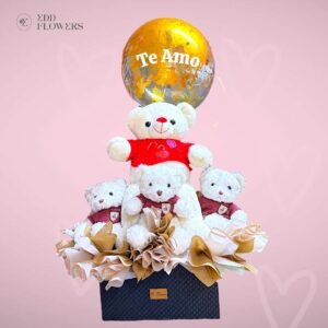 PACK PELUCHES